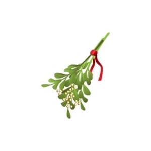 Mistletoe